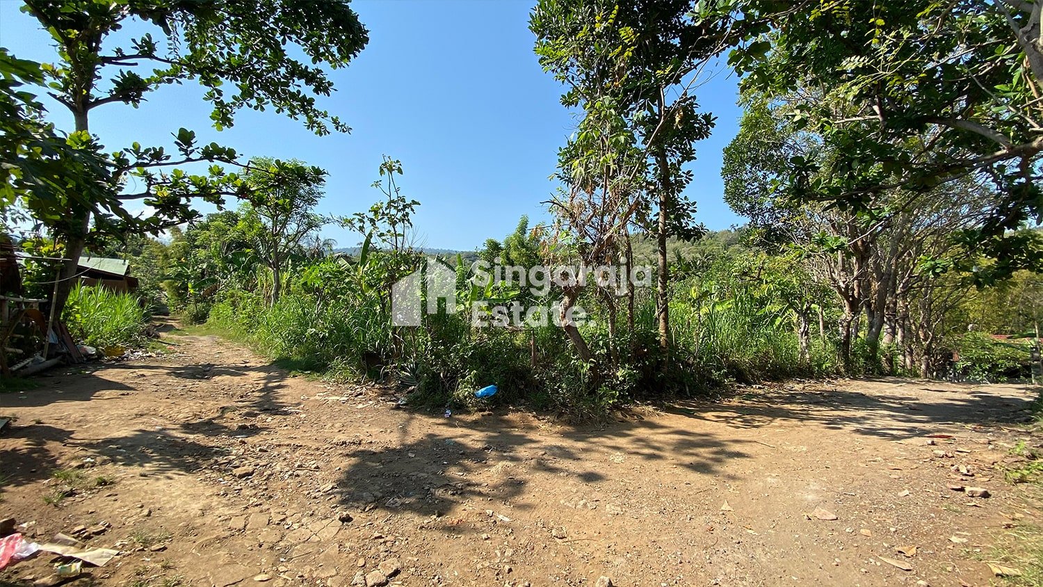 Tanah 19 Are Pinggir Jalan di Kaliasem Lovina | Singaraja Estate