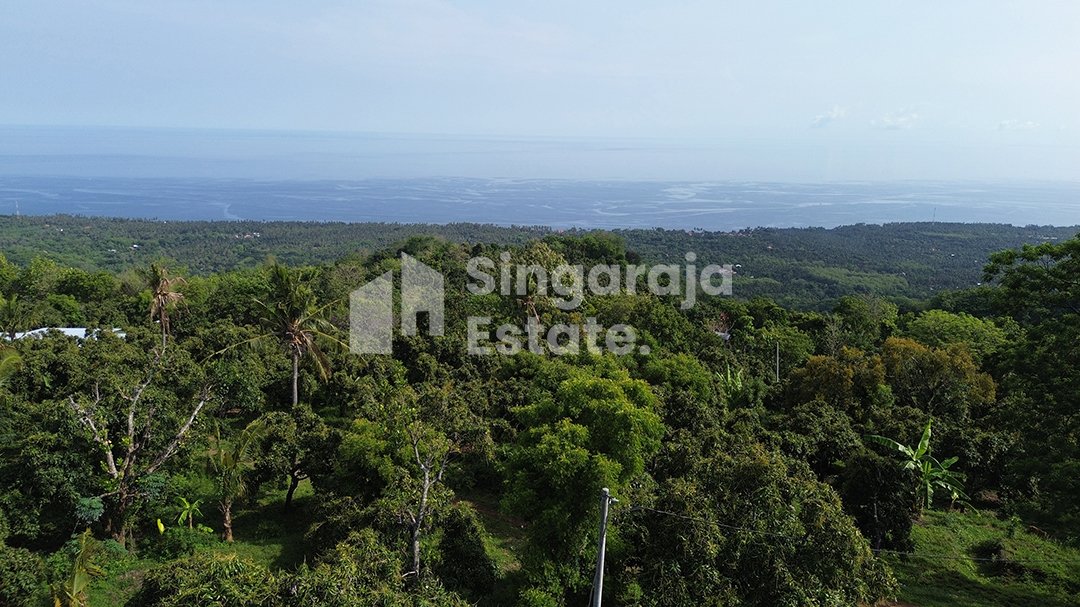 44 Are Land in Kubutambahan Highlands