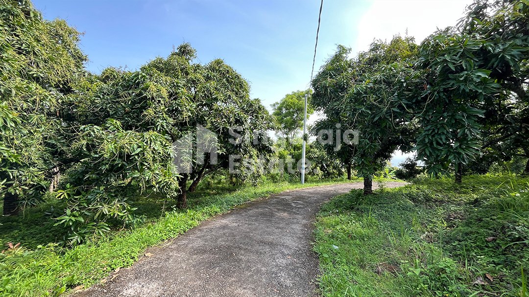 Tanah 44 Are d Area Tinggi kubutambahan - Image 2