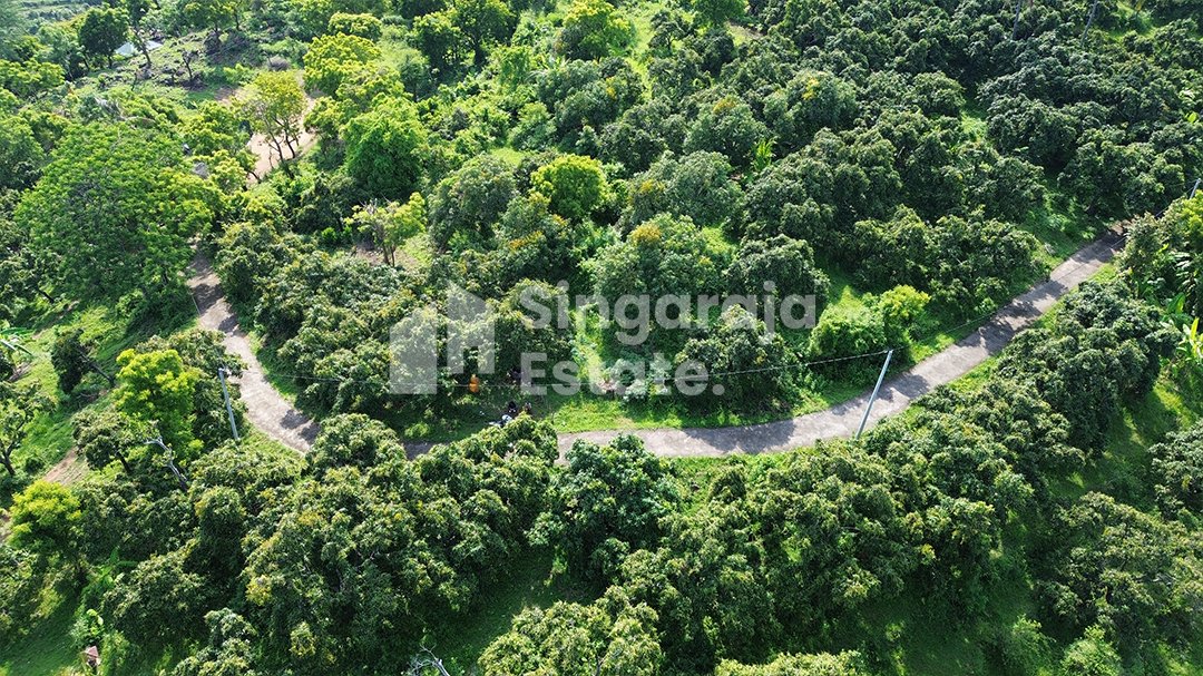 Tanah 44 Are d Area Tinggi kubutambahan - Image 4