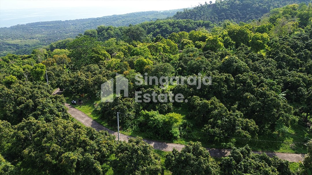 Tanah 44 Are d Area Tinggi kubutambahan - Image 5