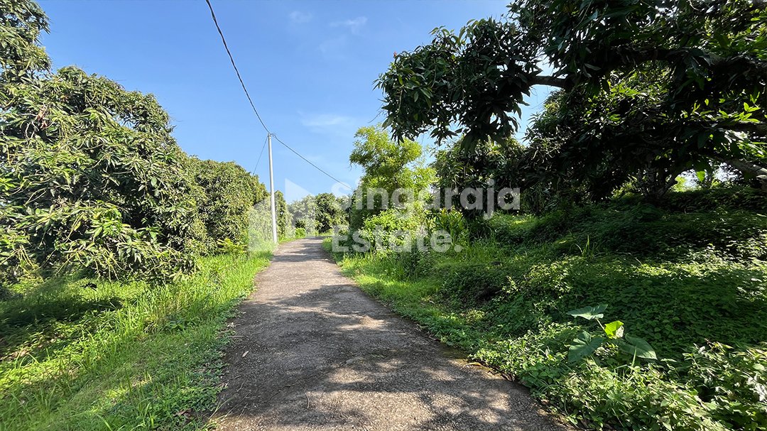 Tanah 44 Are d Area Tinggi kubutambahan - Image 7