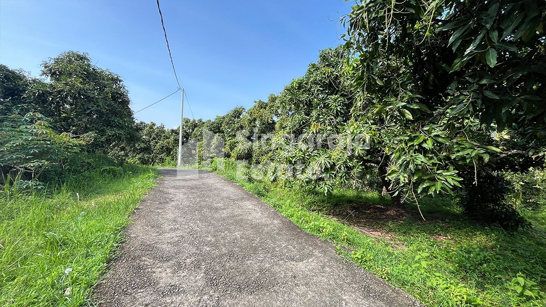 Tanah 44 Are d Area Tinggi kubutambahan - Image 8